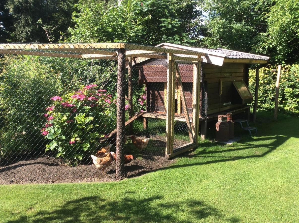 Giethoorn Lodge المظهر الخارجي الصورة