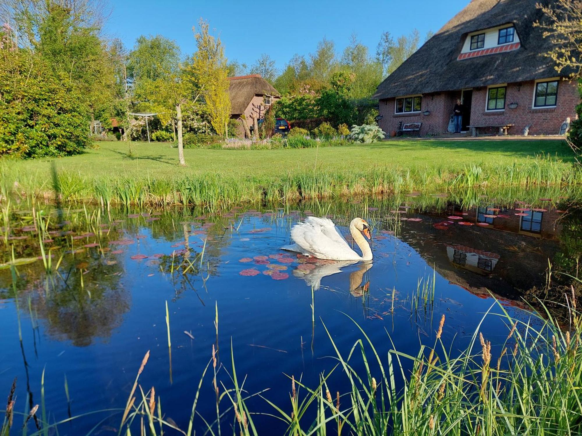 Giethoorn Lodge المظهر الخارجي الصورة